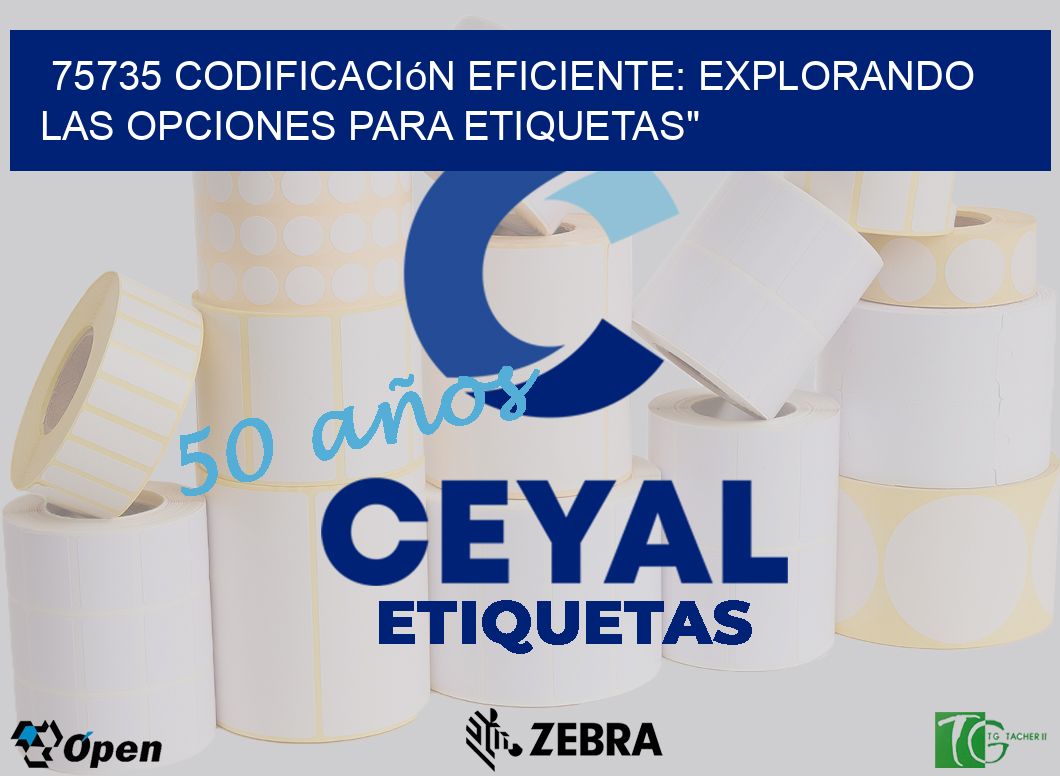 75735 Codificación Eficiente: Explorando las Opciones para Etiquetas»