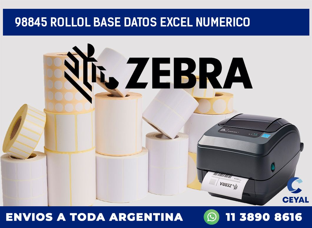 98845 rollol base datos excel numerico