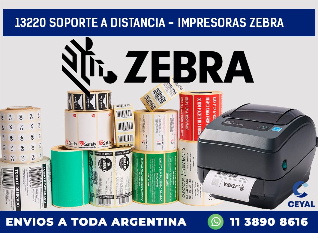 13220 SOPORTE A DISTANCIA – IMPRESORAS ZEBRA