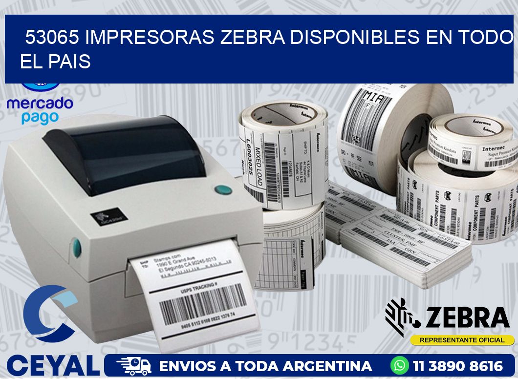 53065 IMPRESORAS ZEBRA DISPONIBLES EN TODO EL PAIS