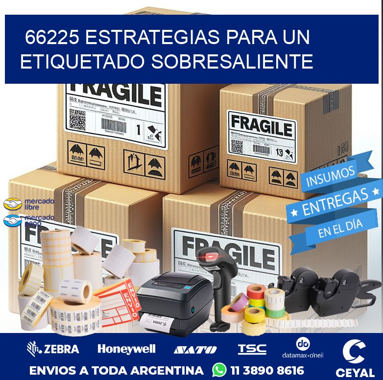 66225 ESTRATEGIAS PARA UN ETIQUETADO SOBRESALIENTE