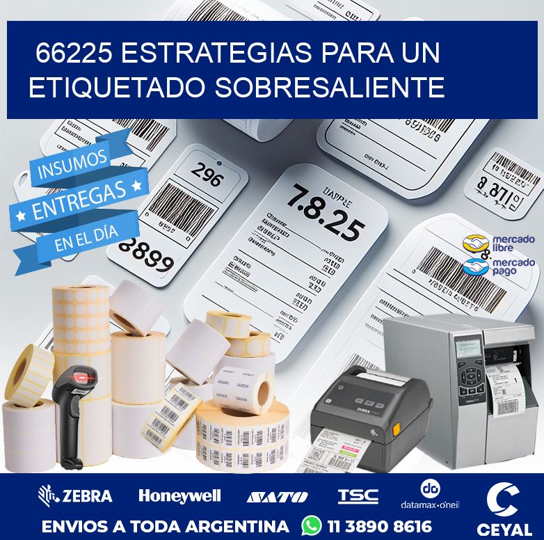 66225 ESTRATEGIAS PARA UN ETIQUETADO SOBRESALIENTE