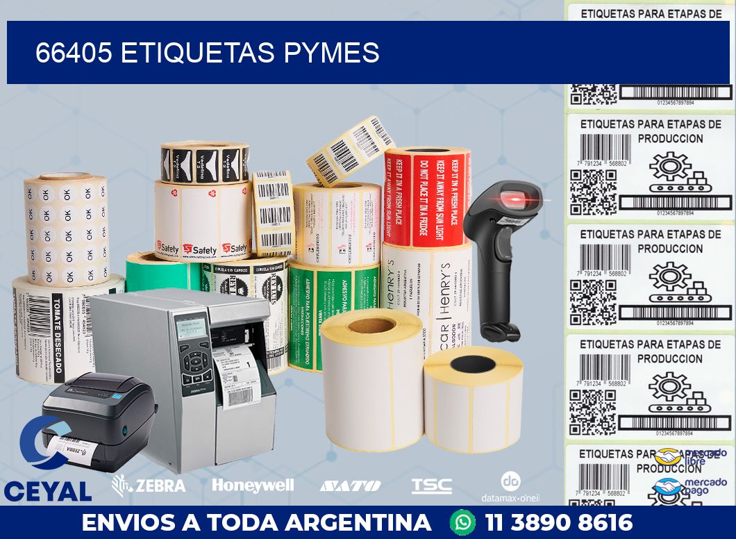66405 ETIQUETAS PYMES