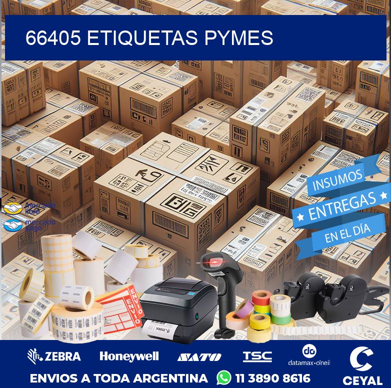 66405 ETIQUETAS PYMES