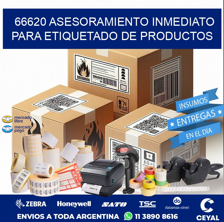 66620 ASESORAMIENTO INMEDIATO PARA ETIQUETADO DE PRODUCTOS