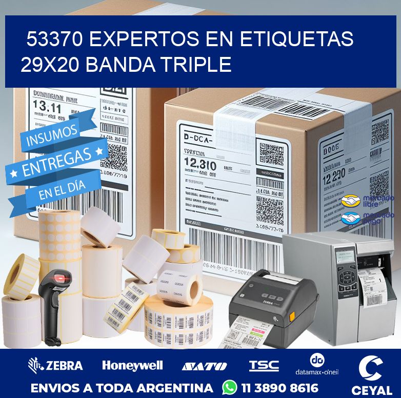 53370 EXPERTOS EN ETIQUETAS 29X20 BANDA TRIPLE