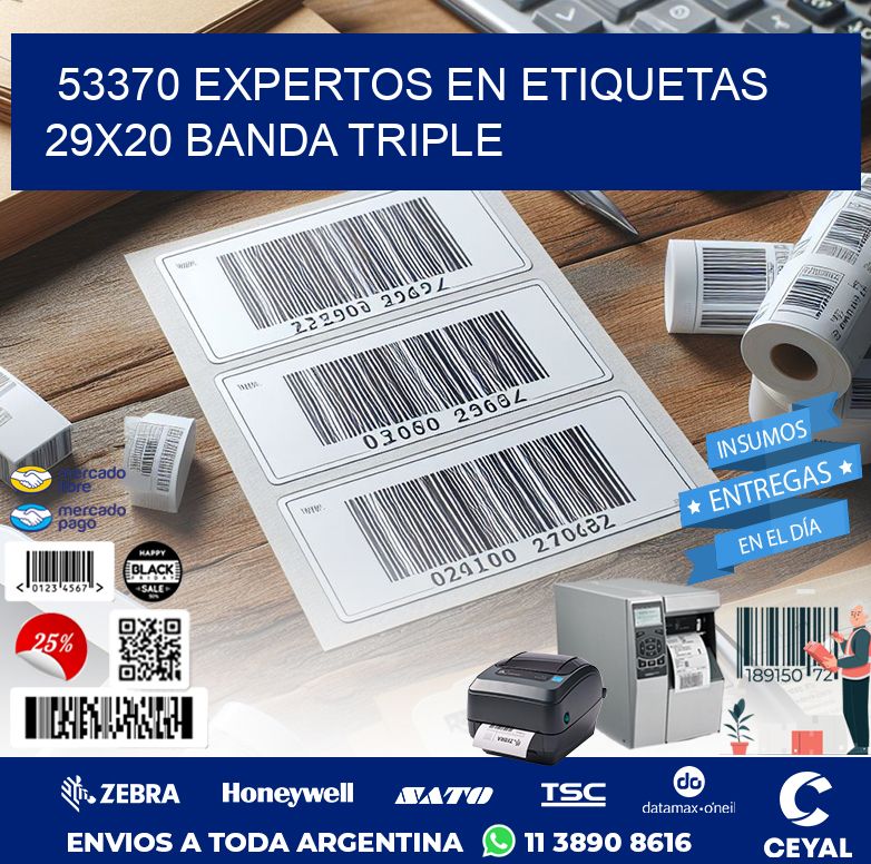 53370 EXPERTOS EN ETIQUETAS 29X20 BANDA TRIPLE