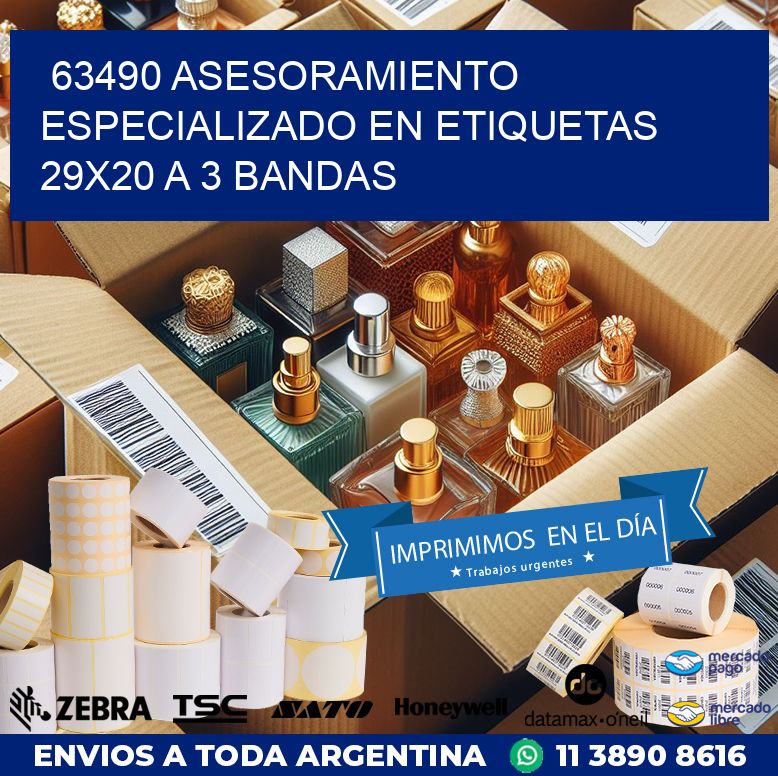63490 ASESORAMIENTO ESPECIALIZADO EN ETIQUETAS 29X20 A 3 BANDAS