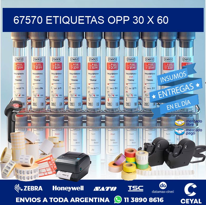 67570 ETIQUETAS OPP 30 X 60