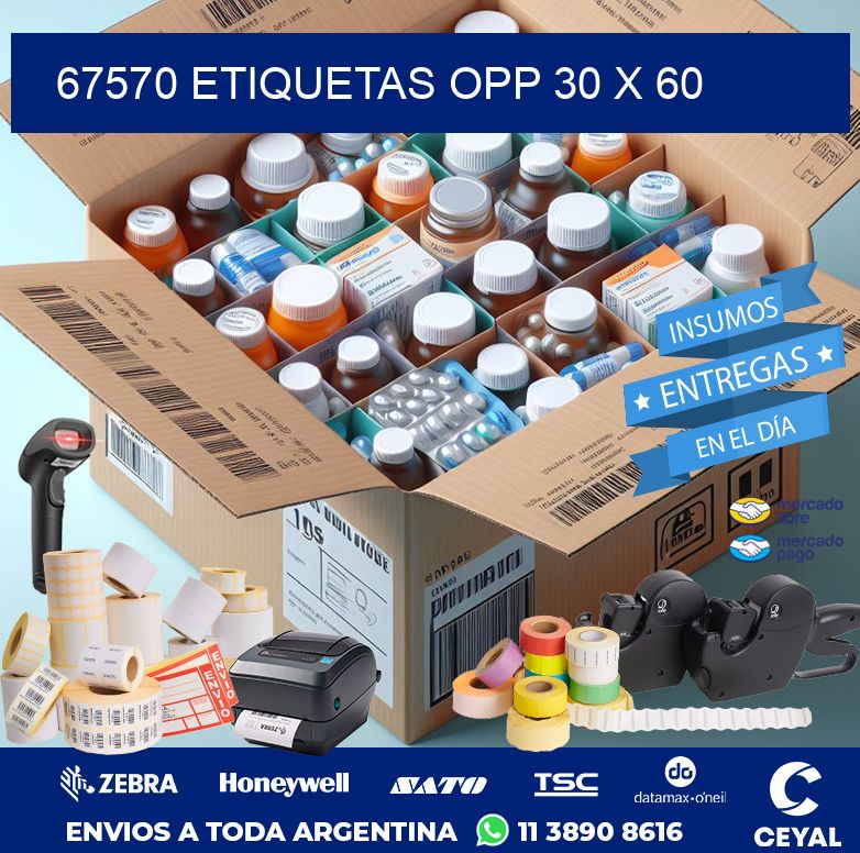 67570 ETIQUETAS OPP 30 X 60