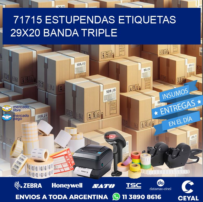 71715 ESTUPENDAS ETIQUETAS 29X20 BANDA TRIPLE