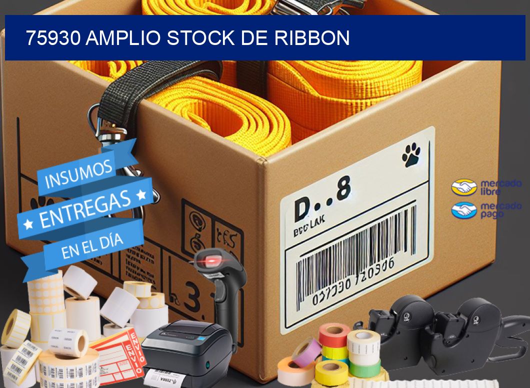 75930 AMPLIO STOCK DE RIBBON