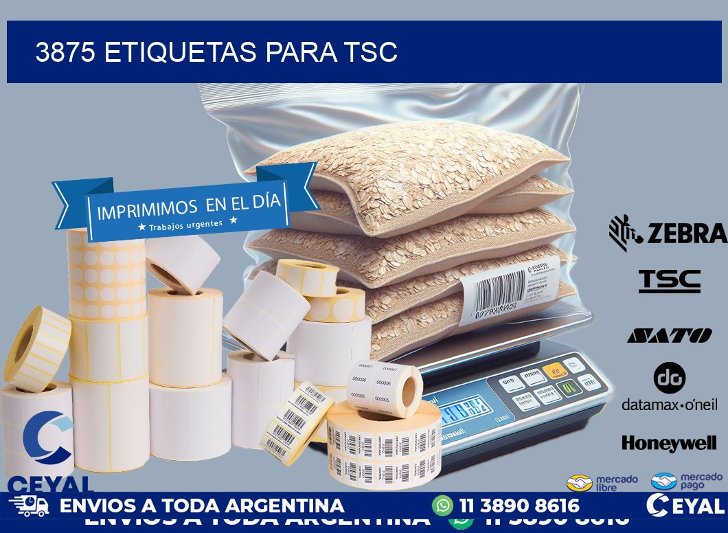 3875 ETIQUETAS PARA TSC
