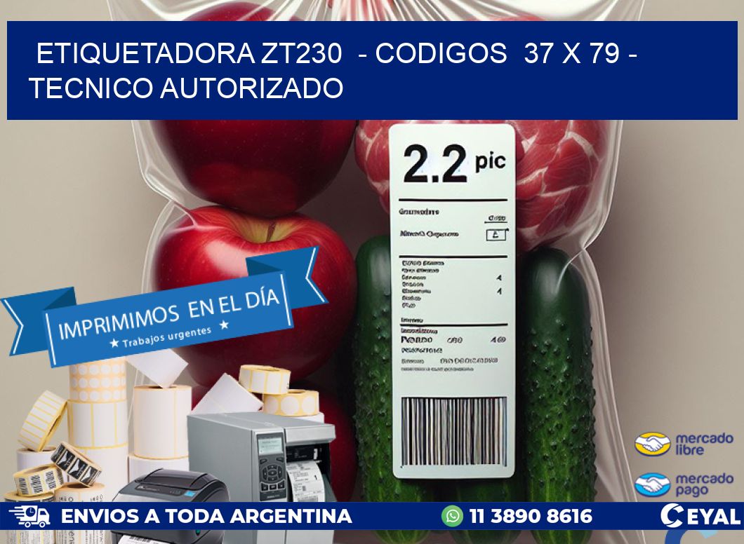 ETIQUETADORA ZT230  – CODIGOS  37 x 79 – TECNICO AUTORIZADO