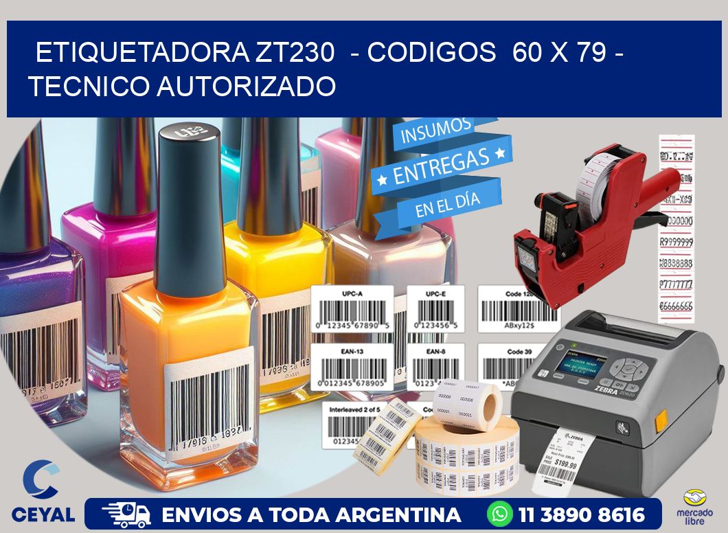 ETIQUETADORA ZT230  - CODIGOS  60 x 79 - TECNICO AUTORIZADO