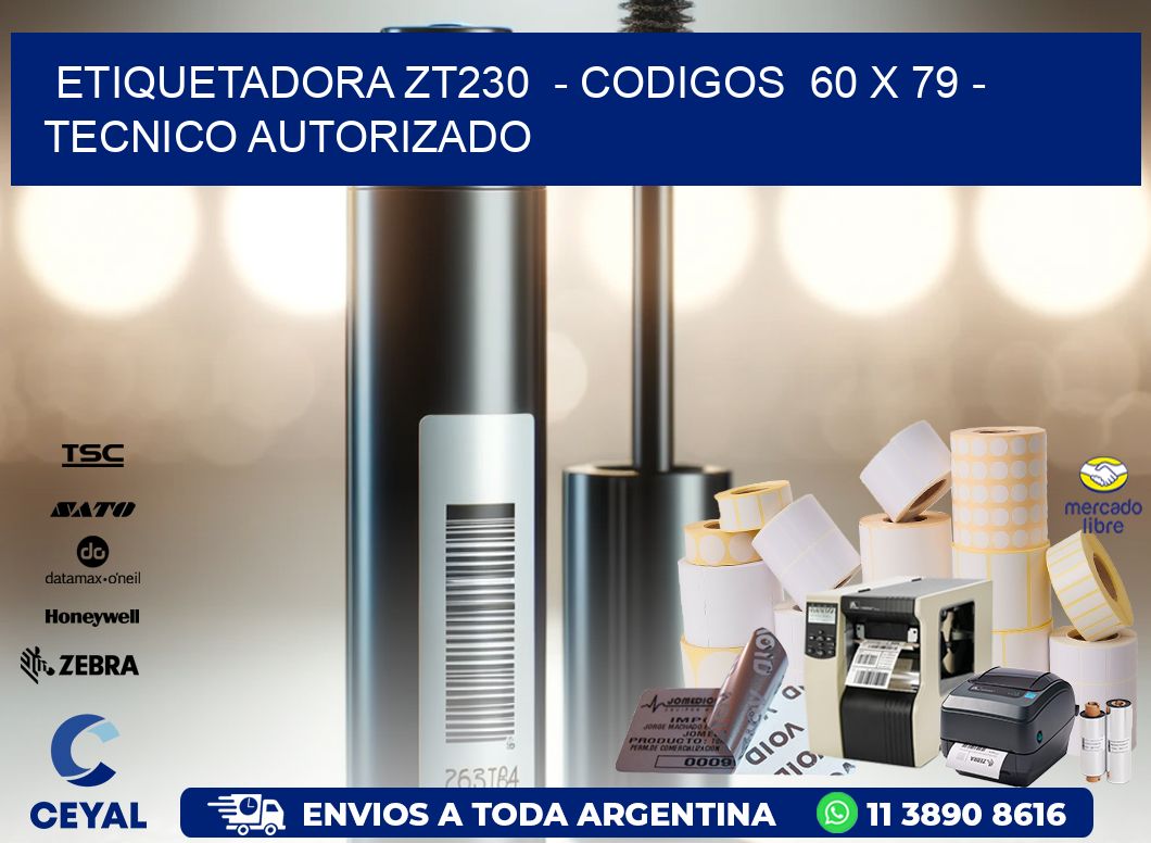 ETIQUETADORA ZT230  - CODIGOS  60 x 79 - TECNICO AUTORIZADO