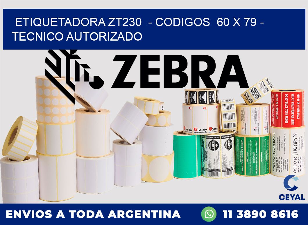 ETIQUETADORA ZT230  - CODIGOS  60 x 79 - TECNICO AUTORIZADO