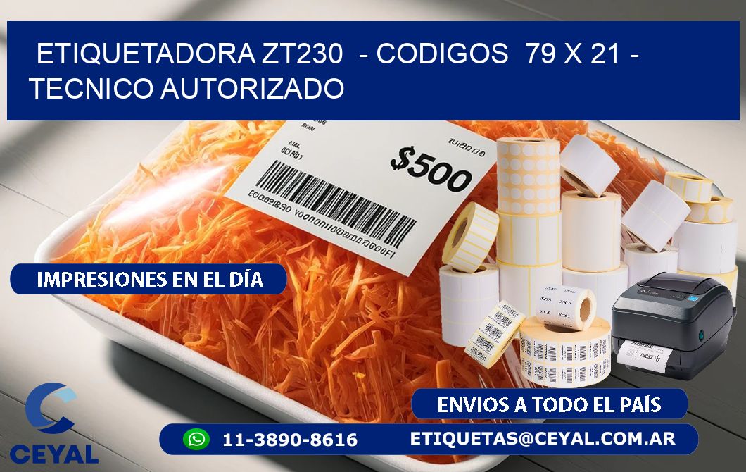 ETIQUETADORA ZT230  - CODIGOS  79 x 21 - TECNICO AUTORIZADO