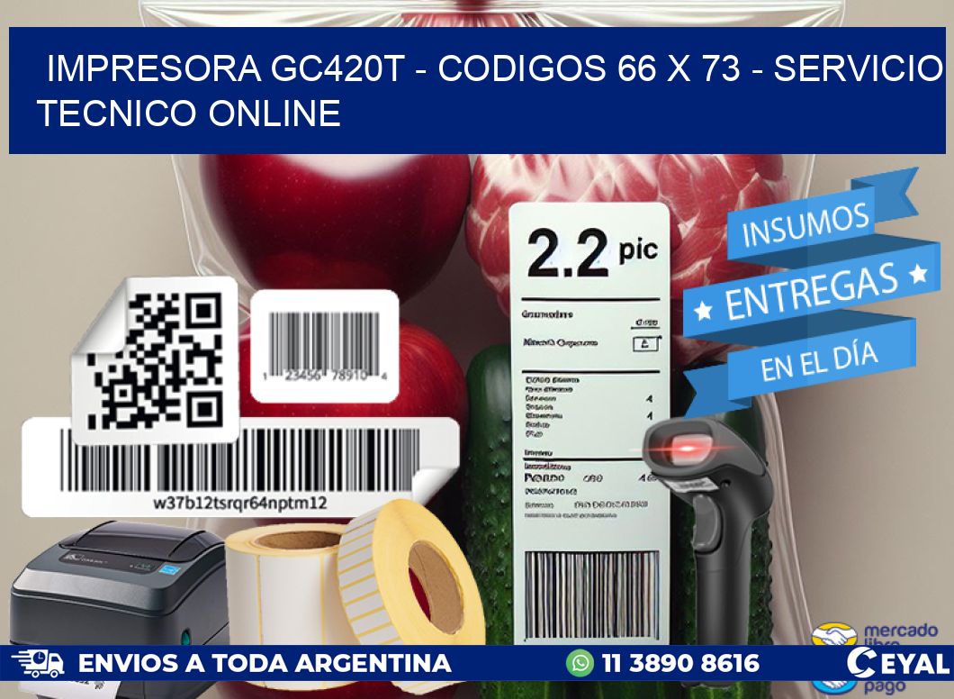 IMPRESORA GC420T - CODIGOS 66 x 73 - SERVICIO TECNICO ONLINE