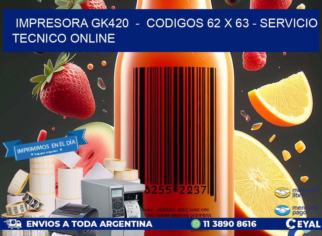 IMPRESORA GK420  –  CODIGOS 62 x 63 – SERVICIO TECNICO ONLINE