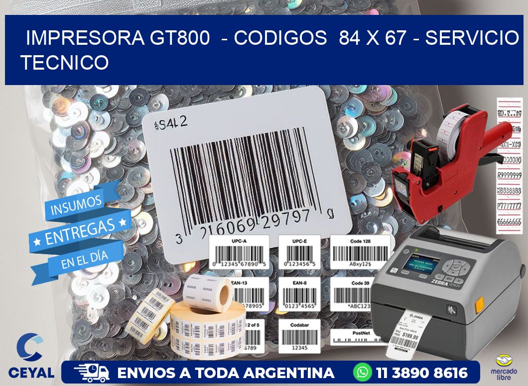 IMPRESORA GT800  - CODIGOS  84 x 67 - SERVICIO TECNICO