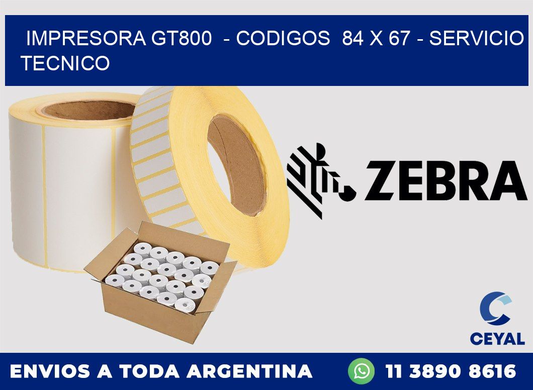 IMPRESORA GT800  - CODIGOS  84 x 67 - SERVICIO TECNICO