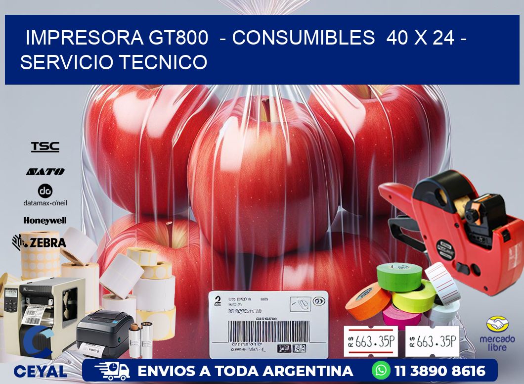 IMPRESORA GT800  - CONSUMIBLES  40 x 24 - SERVICIO TECNICO