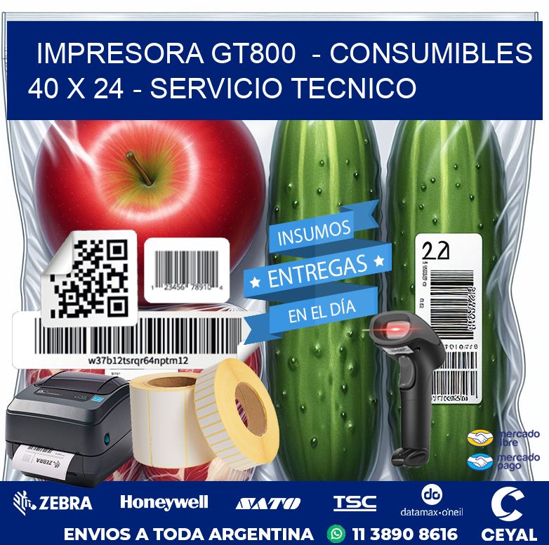 IMPRESORA GT800  – CONSUMIBLES  40 x 24 – SERVICIO TECNICO