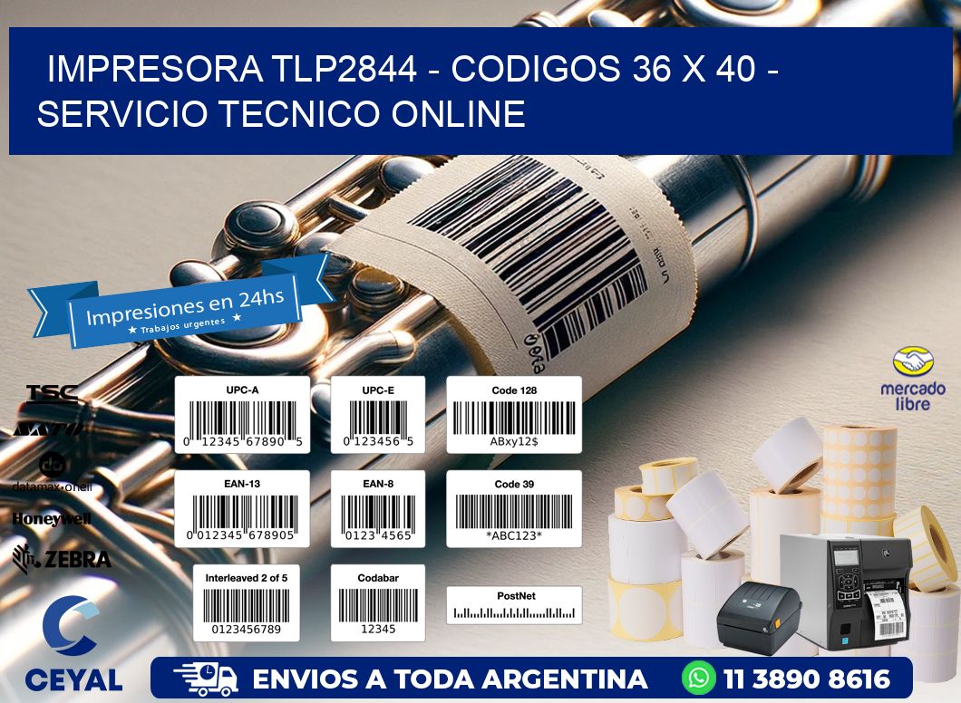 IMPRESORA TLP2844 - CODIGOS 36 x 40 - SERVICIO TECNICO ONLINE