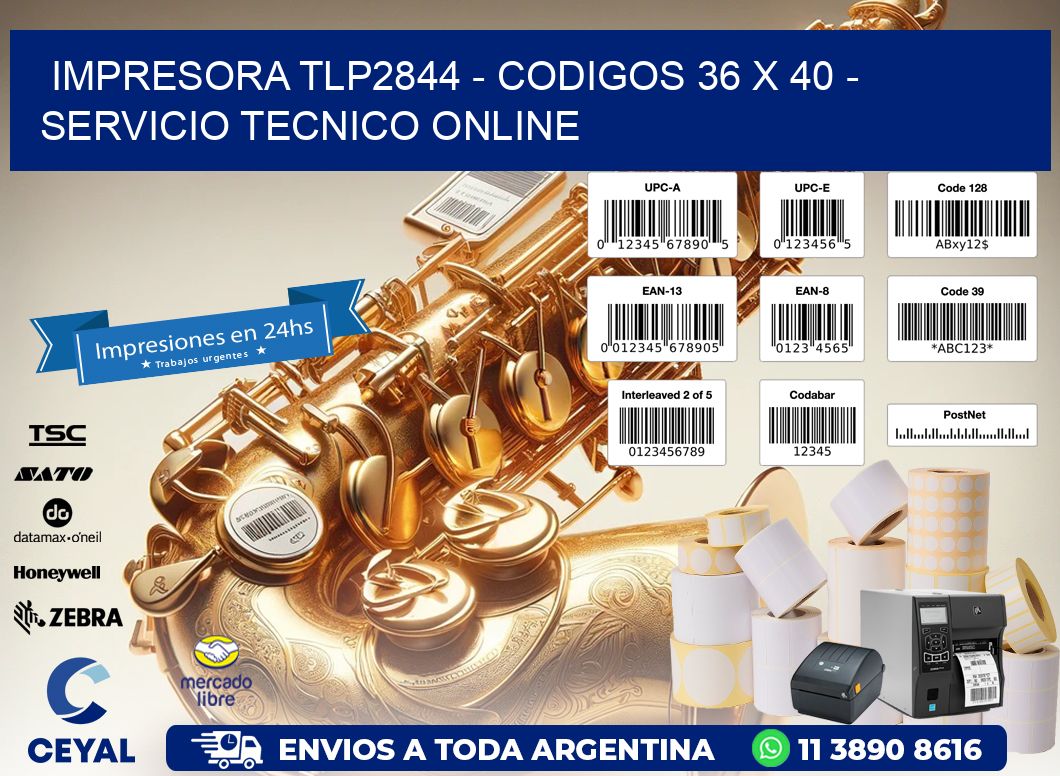 IMPRESORA TLP2844 - CODIGOS 36 x 40 - SERVICIO TECNICO ONLINE