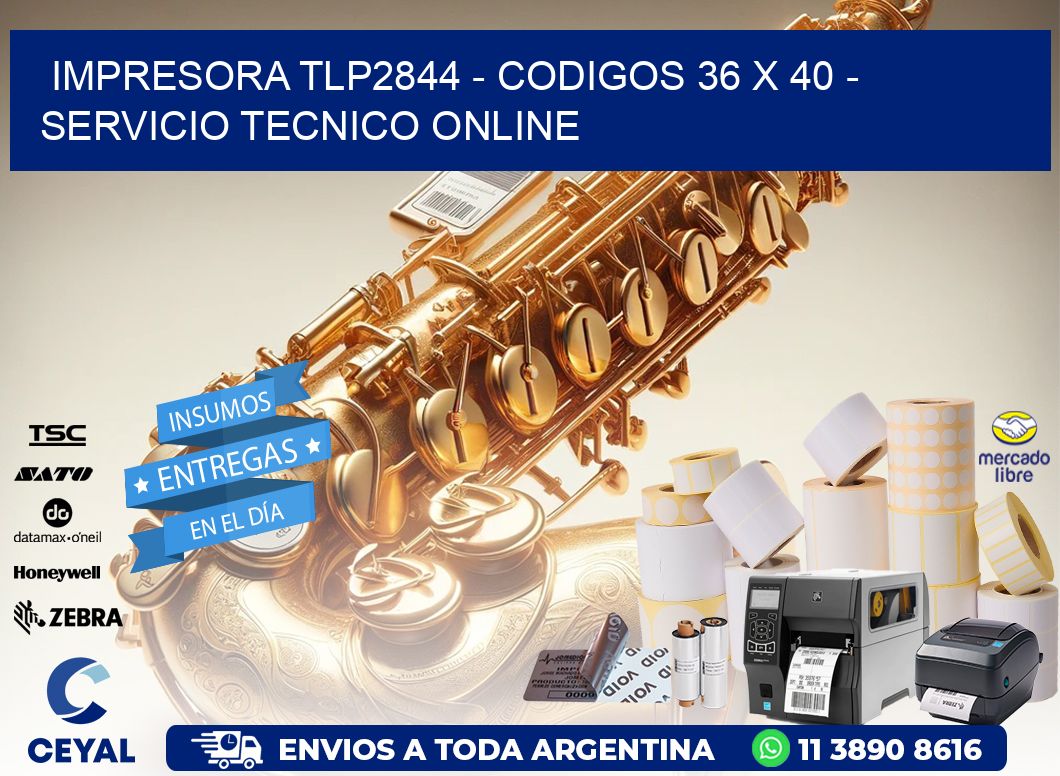 IMPRESORA TLP2844 - CODIGOS 36 x 40 - SERVICIO TECNICO ONLINE