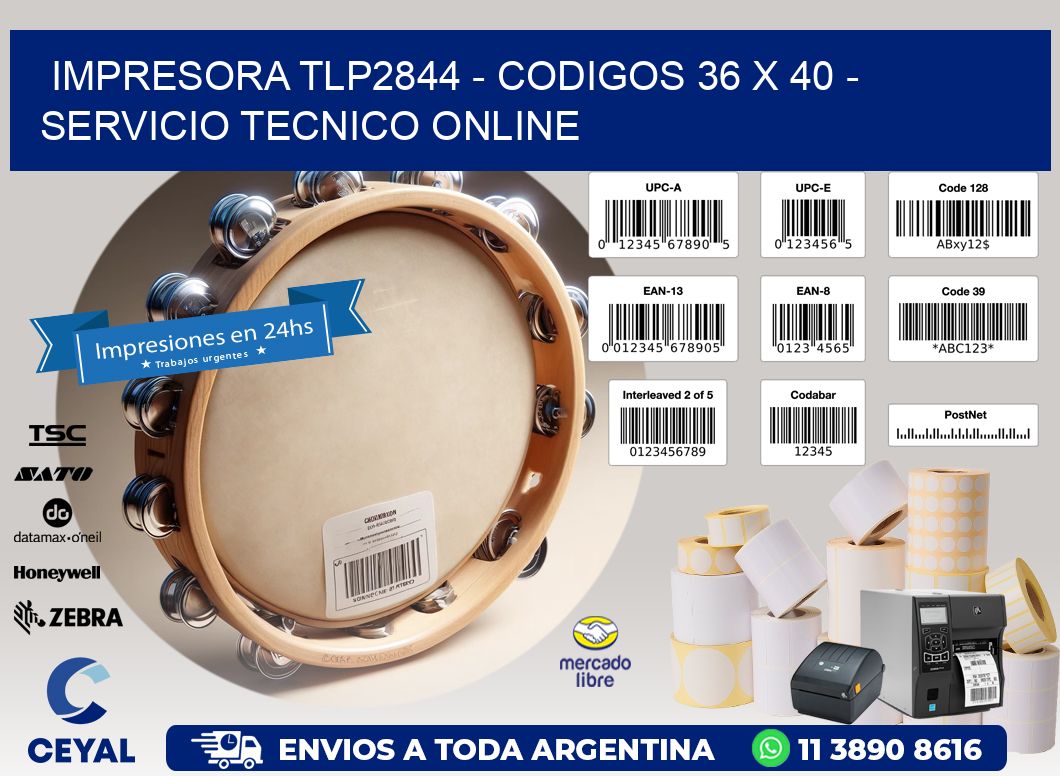 IMPRESORA TLP2844 - CODIGOS 36 x 40 - SERVICIO TECNICO ONLINE