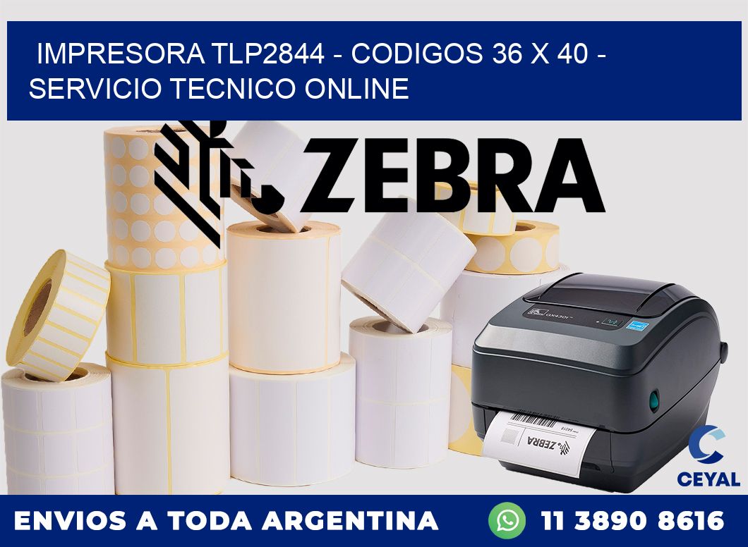 IMPRESORA TLP2844 - CODIGOS 36 x 40 - SERVICIO TECNICO ONLINE