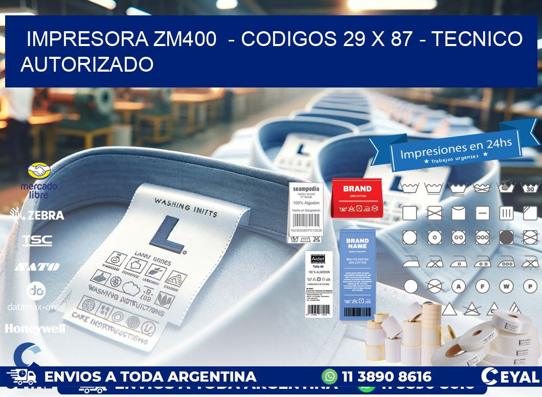 IMPRESORA ZM400  - CODIGOS 29 x 87 - TECNICO AUTORIZADO