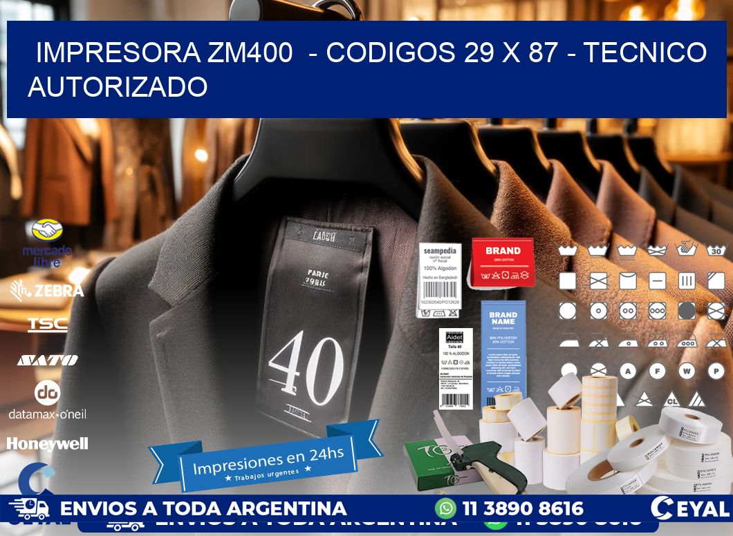 IMPRESORA ZM400  - CODIGOS 29 x 87 - TECNICO AUTORIZADO