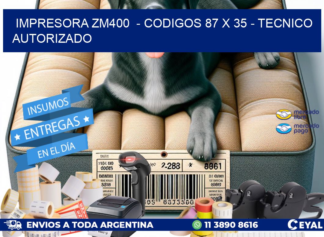 IMPRESORA ZM400  - CODIGOS 87 x 35 - TECNICO AUTORIZADO