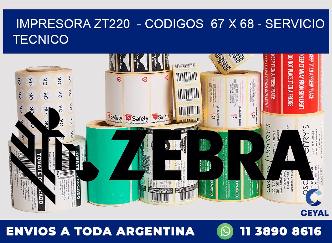 IMPRESORA ZT220 - CODIGOS 67 x 68 - SERVICIO TECNICO
