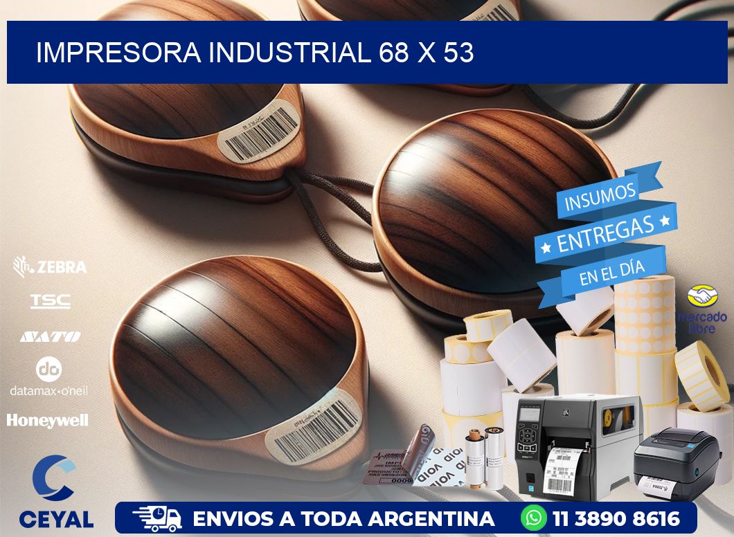 impresora industrial 68 x 53