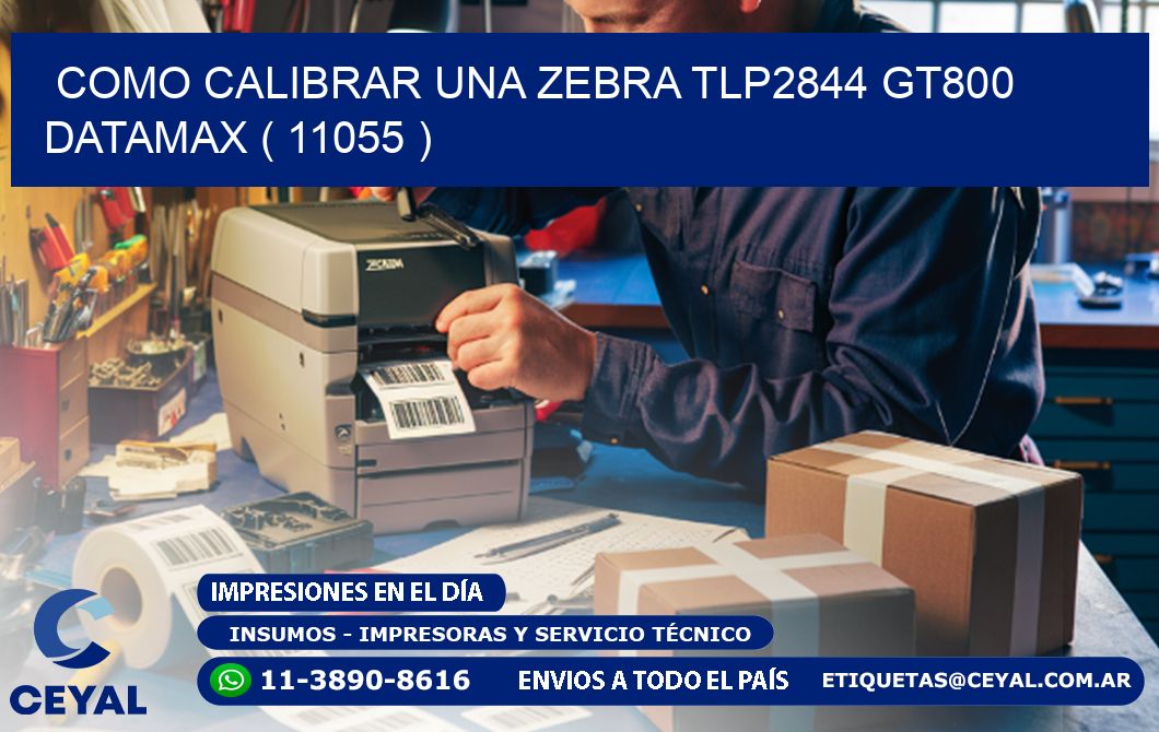 COMO CALIBRAR UNA ZEBRA TLP2844 GT800 DATAMAX ( 11055 )