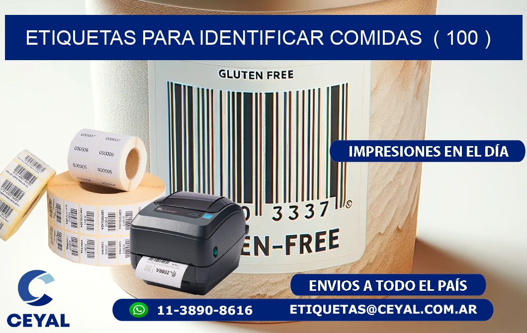 ETIQUETAS PARA IDENTIFICAR COMIDAS  ( 100 )