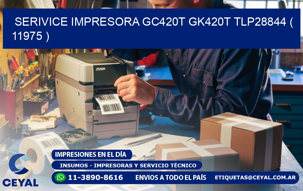 SERIVICE IMPRESORA GC420T GK420T TLP28844 ( 11975 )