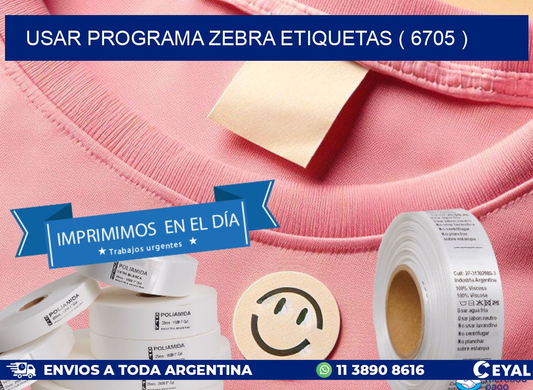 USAR PROGRAMA ZEBRA ETIQUETAS ( 6705 )