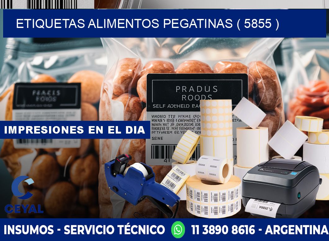 etiquetas alimentos pegatinas ( 5855 )