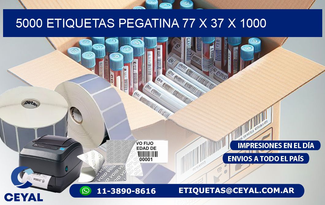 5000 ETIQUETAS PEGATINA 77 x 37 x 1000