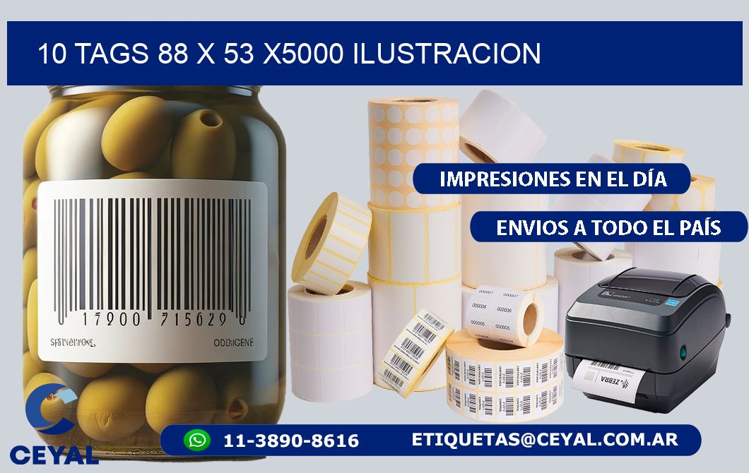 10 TAGS 88 x 53 X5000 ILUSTRACION