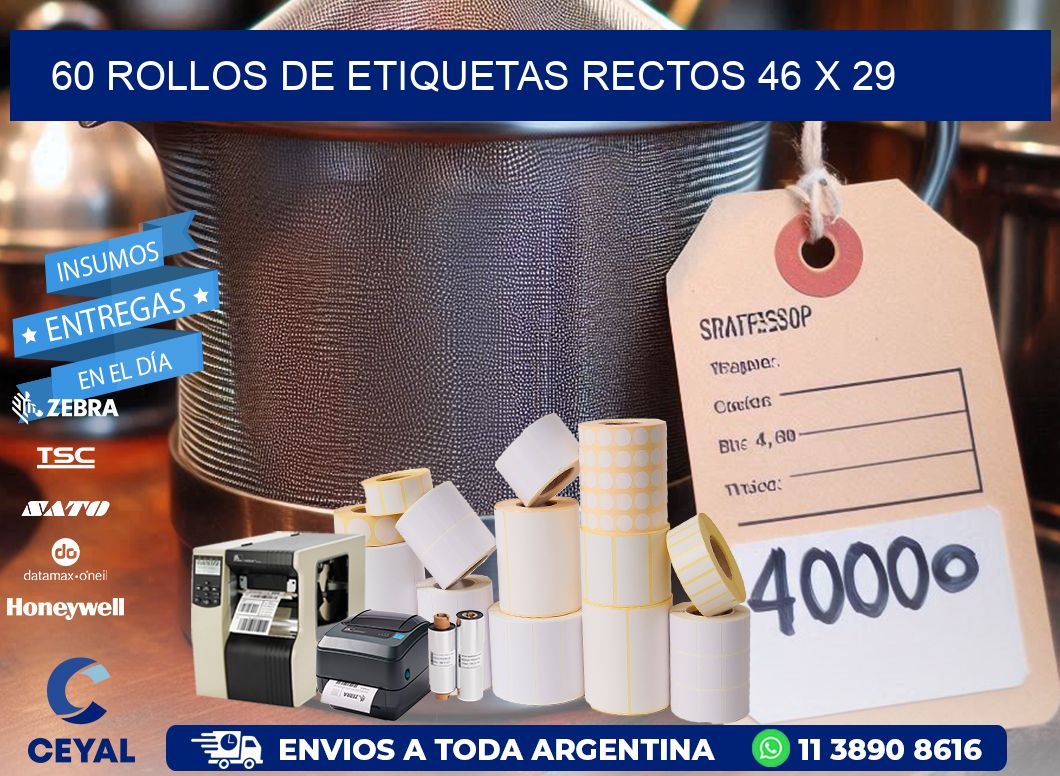 60 ROLLOS DE ETIQUETAS RECTOS 46 x 29