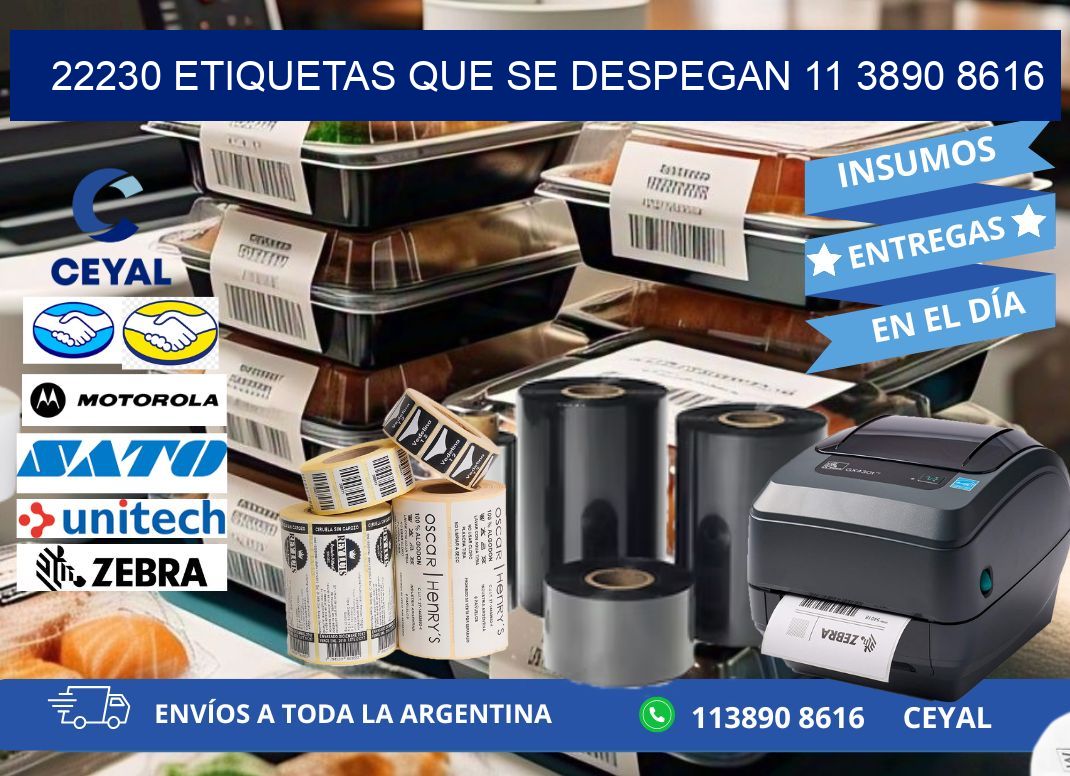 22230 ETIQUETAS QUE SE DESPEGAN 11 3890 8616