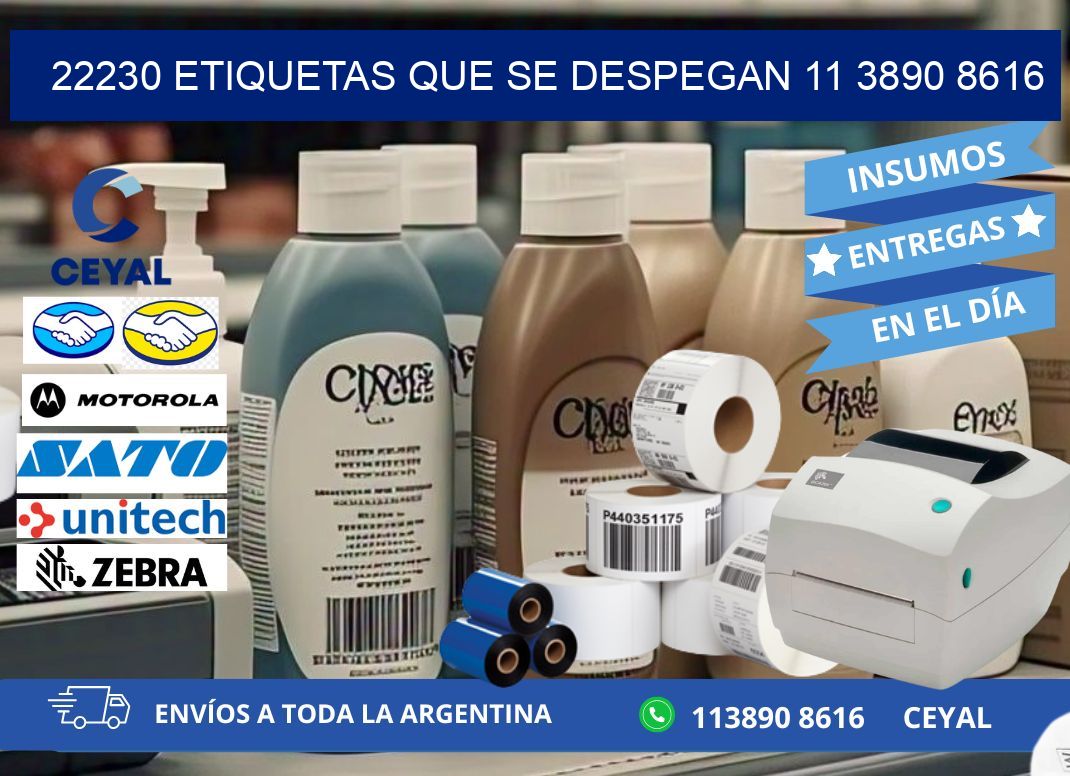 22230 ETIQUETAS QUE SE DESPEGAN 11 3890 8616