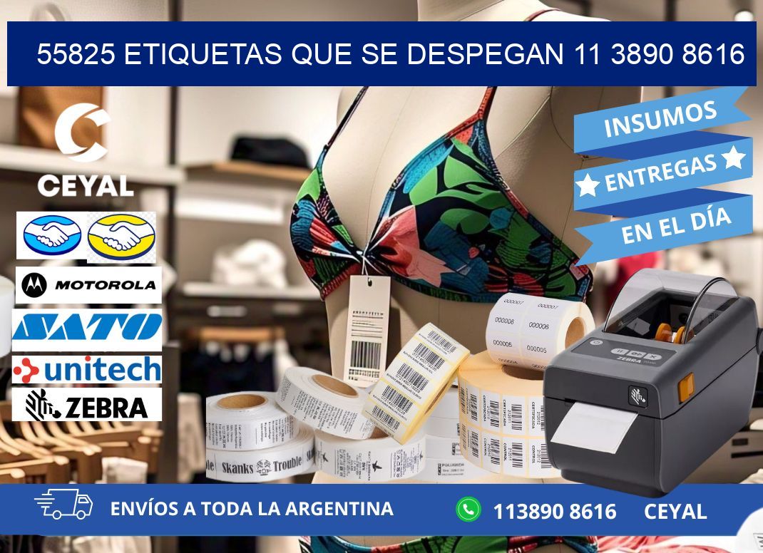 55825 ETIQUETAS QUE SE DESPEGAN 11 3890 8616