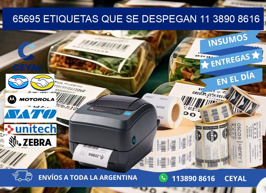 65695 ETIQUETAS QUE SE DESPEGAN 11 3890 8616